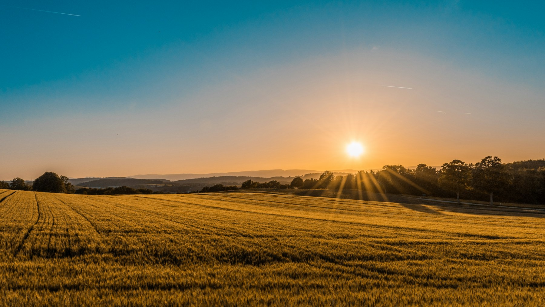 Agricultural fields used for field intelligence context